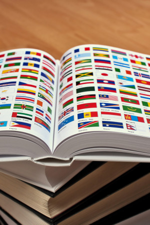 Encyclopedia pages showing world flags